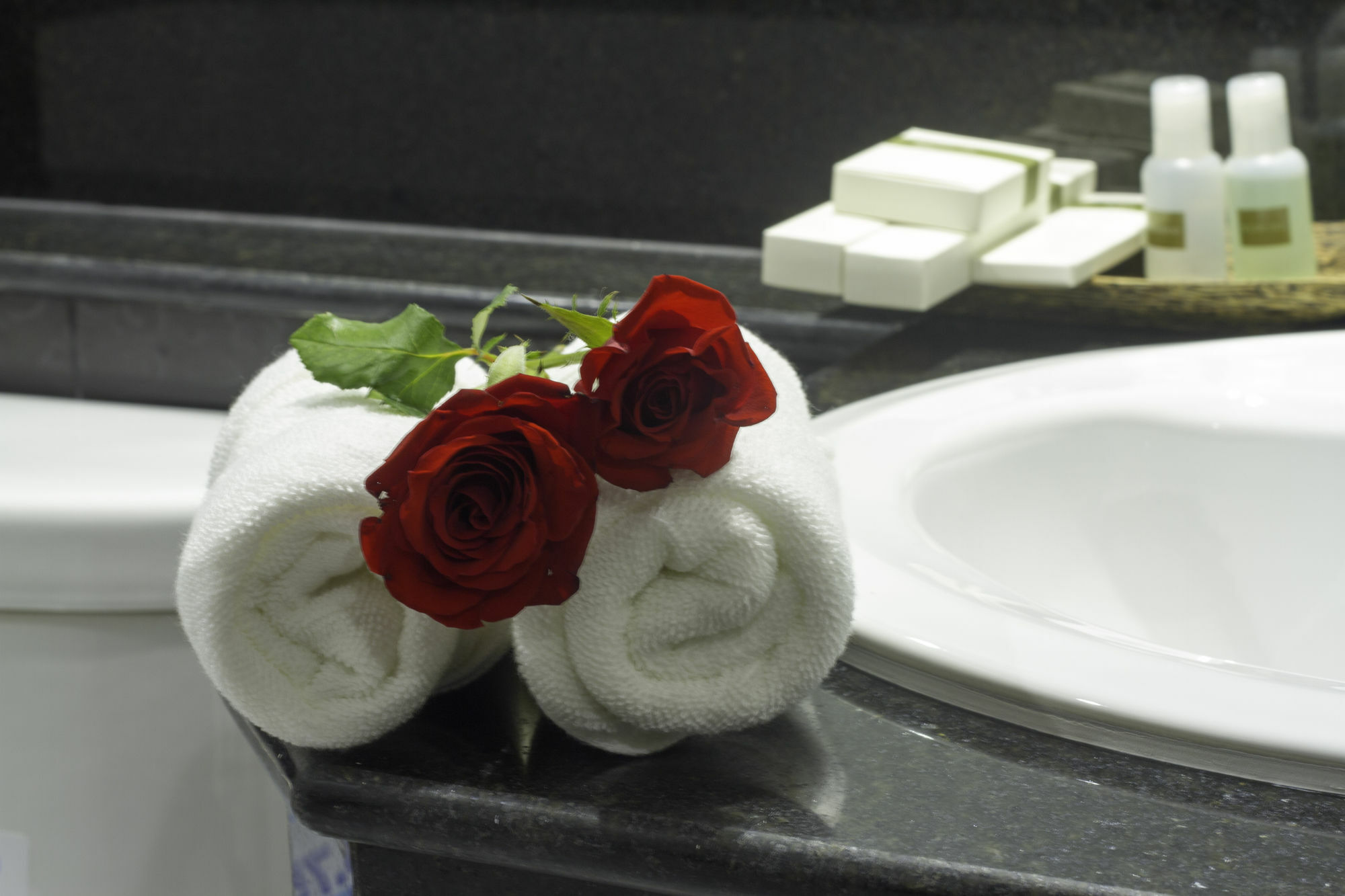 Rose Emerald Hotel Phnom Penh Ngoại thất bức ảnh